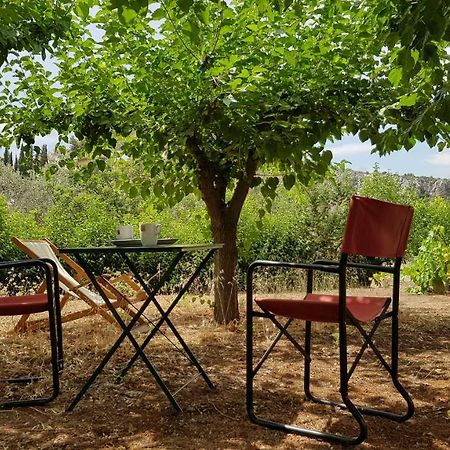 Ample Modern Country Home Nea Epidavros Buitenkant foto