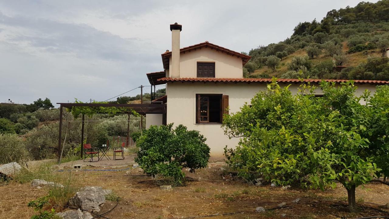 Ample Modern Country Home Nea Epidavros Buitenkant foto